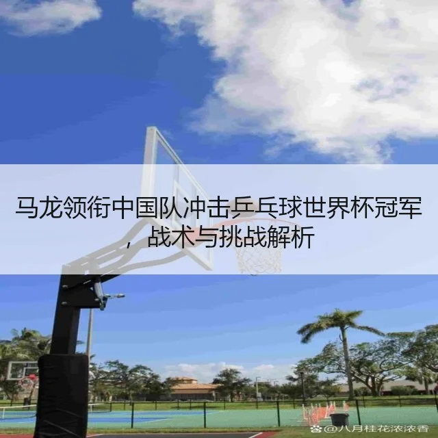 马龙领衔中国队冲击乒乓球世界杯冠军，战术与挑战解析
